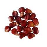 Red Corn Seeds — Organi,  High germination seed pack | Native Indian Organics