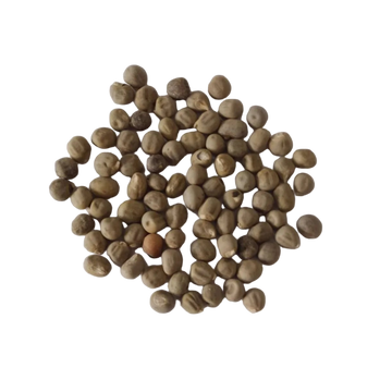 Red Lady Finger seeds - Nutrient Rich, Healthy Seeds | Native Indian Organics