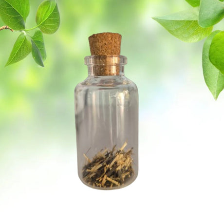 Seed Vials For Return gifts Pack of 10