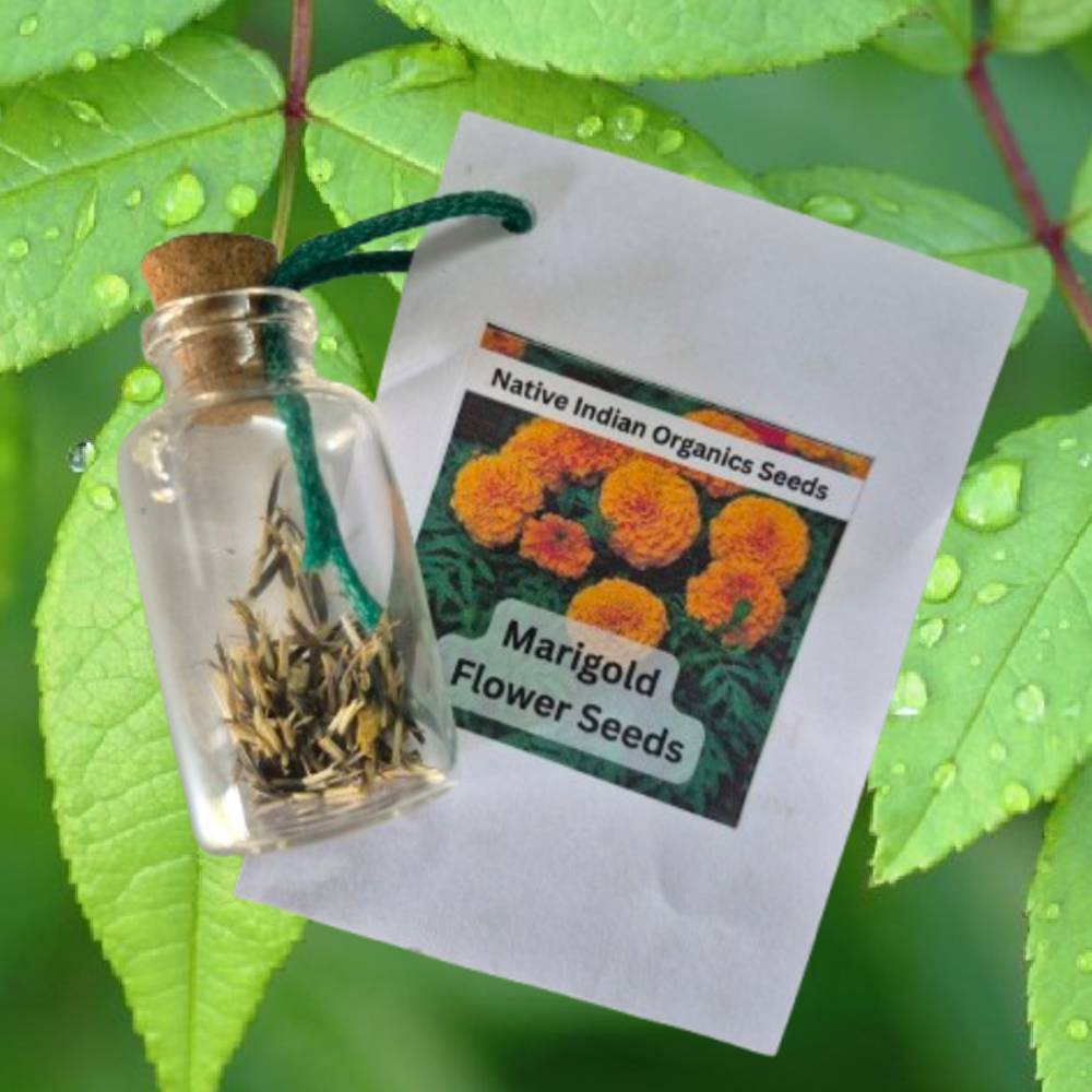 plant seeds return gifts Buy Seed Vials Online India