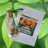 Seed Vials For Return gifts Pack of 10