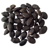 Long Ridge gourd seeds - Nutrient-dense, Organic seeds | Native Indian Organics