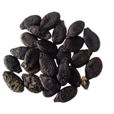 Ridge Gourd Short seeds — Native, Fresh seed pack | Native Indian Organics