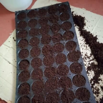Nursery Tray 50 Cells Pack Of 5 — Premium quality, Durable | Native Indian Organics