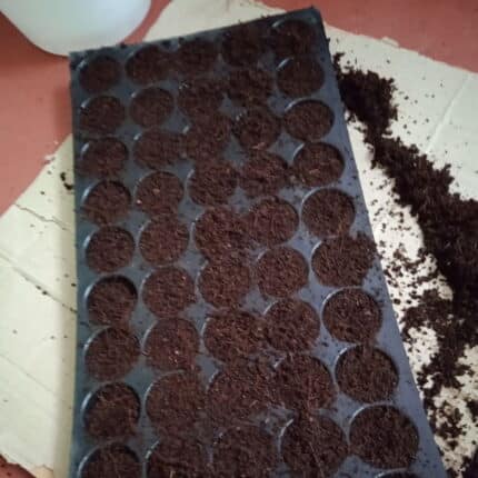 Coco peat Block 4-5KG set of 1