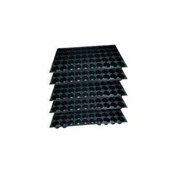 Nursery Tray 50 cells (Pack of 5) pack of 5 — Aromatic, Fast-growing seed pack | Native Indian Organics