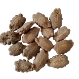 Snake gourd seeds - Organic , Non-GMO seeds | Native Indian Organics
