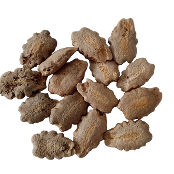 Snake gourd seeds - Organic , Non-GMO seeds | Native Indian Organics