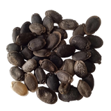 Sponge Gourd Seeds — High Germinated Seeds | Native Indian Organics