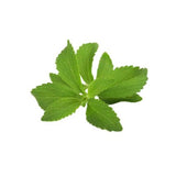 Stevia seeds Herbal plant