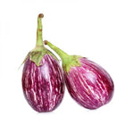 Striped Brinjal (Purple) Seeds — Crisp, Organic seed pack | Native Indian Organics