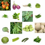 Summer Vegetable Seeds Pack of 16 pack of 16 — Food-safe, Clear glass glass bottle with cork | Native Indian Organics