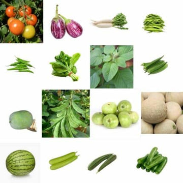 Summer Vegetable Seeds Pack of 16 pack of 16 — Food-safe, Clear glass glass bottle with cork | Native Indian Organics
