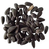 bunch of seeds image of sun flower seeds