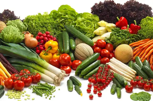 vegetable seeds for gardening