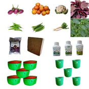 Terrace garden kit for Beginners — Peat-free, Organic | Native Indian Organics