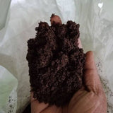 Organic Vermicompost Fertilizer 5 KG