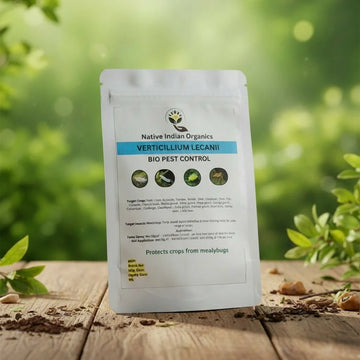 Verticillium lecanii Bio Insecticide controls Mealybugs 1KG — Reliable, Durable | Native Indian Organics
