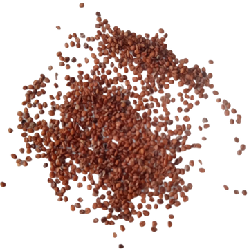 Watercress seeds — Fresh and High Yeild | Native Indian Organics