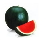 Sugar Baby Watermelon Seeds — Heirloom, Non-GMO seed pack | Native Indian Organics