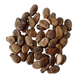 Seeds of Long Striped Native Watermelon — Nutrient-dense, Organic seed pack | Native Indian Organics 