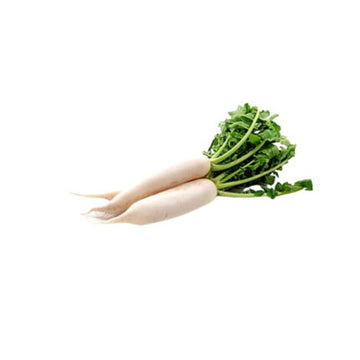 White Radish Seeds — Tender, Peppery seed pack | Native Indian Organics