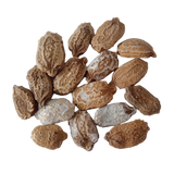 White Bitter Gourd seeds — Organic, Non - GMO seeds pack | Native Indian Organics