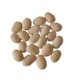 White Field Beans Seeds — Nutrient-dense, Organic seed pack | Native Indian Organics