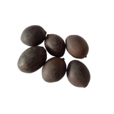 White Lotus seeds - Organic , High Germination Flower Seeds | Native Indian Organics