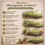 benefits of growing micro green in home garden
