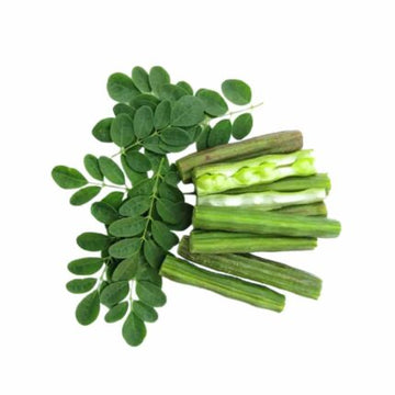 Yalpana Moringa Seeds — Native, Aromatic seed pack | Native Indian Organics