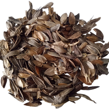 Zinnia Liliput Mixed Flower seeds - High Quality Fresh and Organic Seeds | Native Indian Organics
