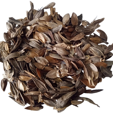 Zinnia Liliput Mixed Flower seeds - High Quality Fresh and Organic Seeds | Native Indian Organics