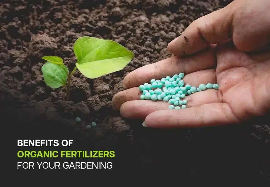 benefits of using organic fertilizers