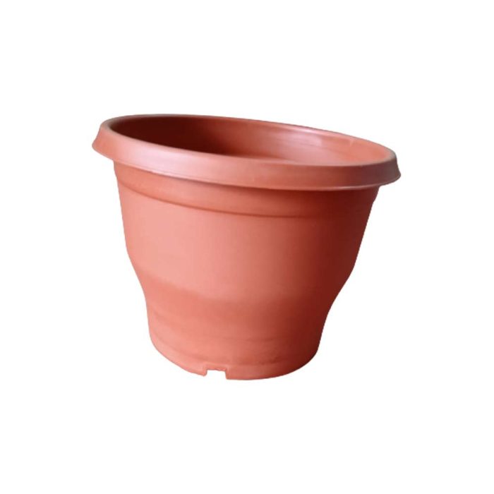 10 inch pot