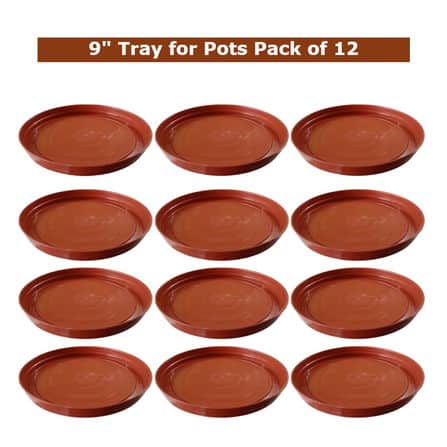 tray plant plate set of 12