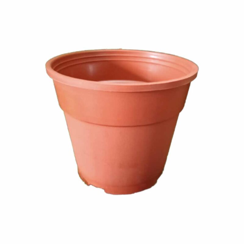 Outdoor small plant pots 6 inch
