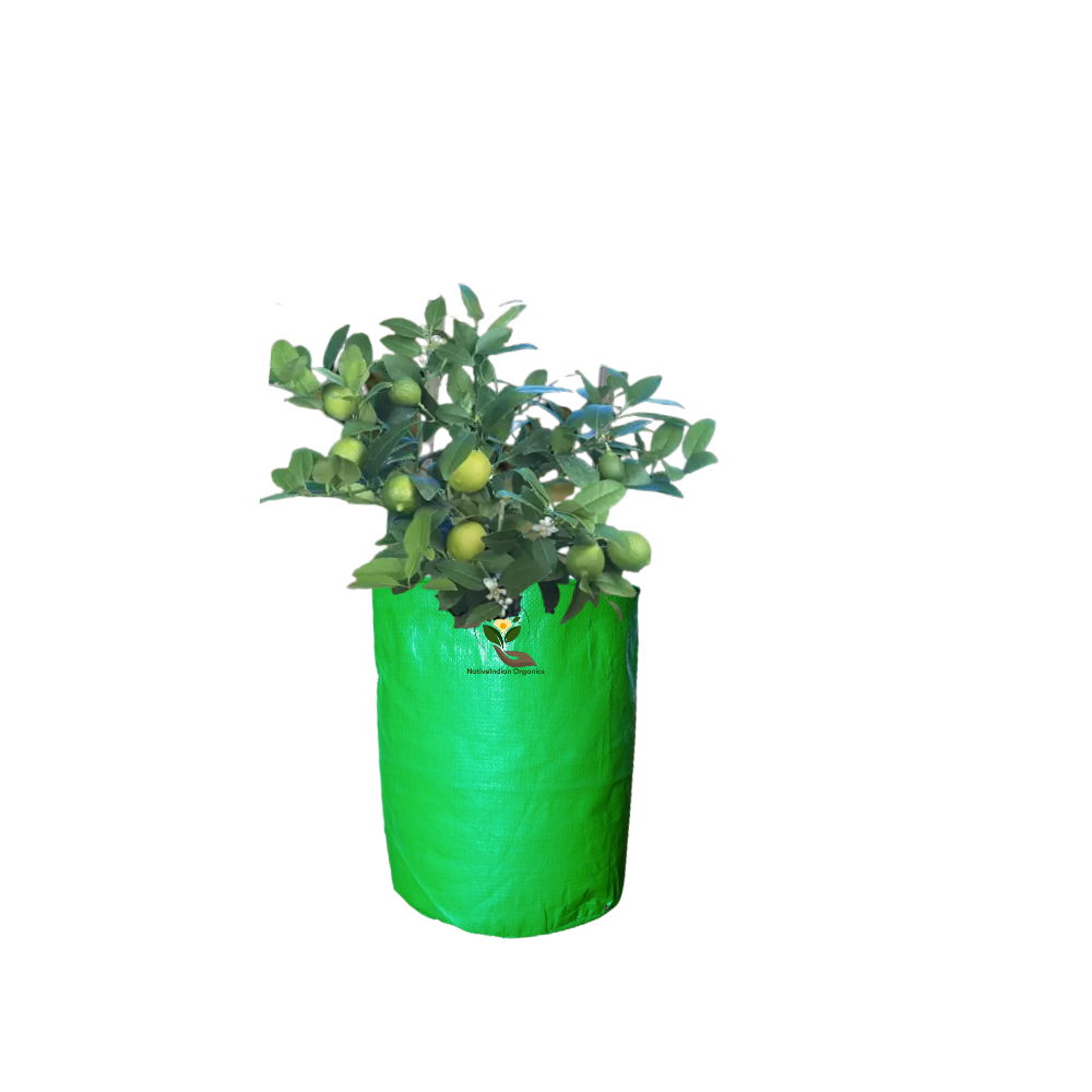 Buy WNE Jaliwale HDPE Rectangle Grow Bag With PVC Pipe Support 4X2X1.5ft  Online at Best Prices in India - JioMart.