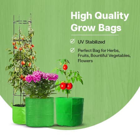 green grow bags for plants in india