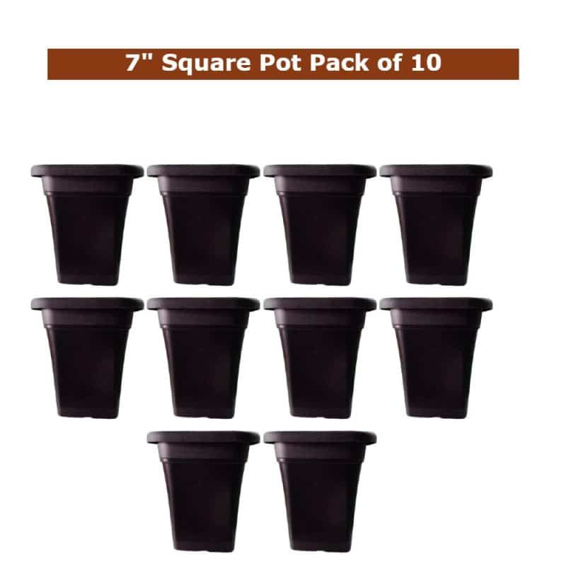 square pot 7 inch black set of 10