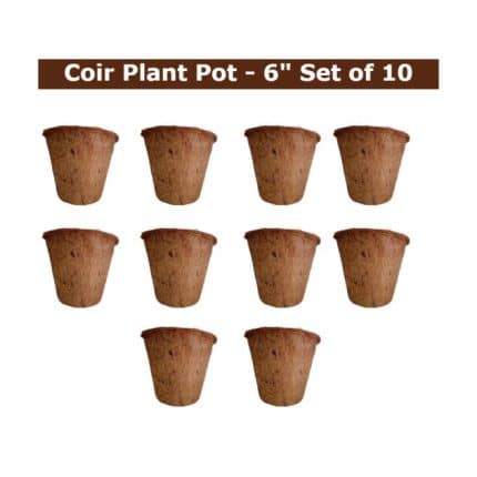 coir pot 6 inch set of 10
