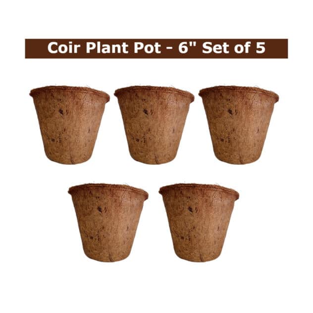 6 inch coir pots set of 5
