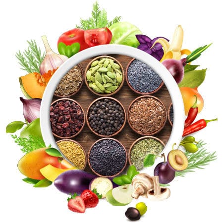 best organic vegetable seeds online india