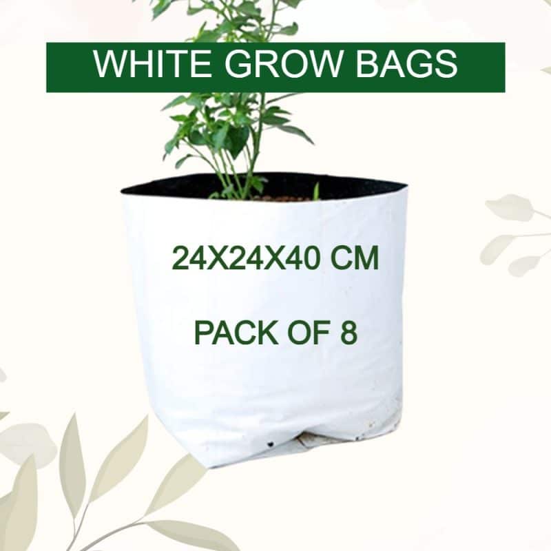 Plant Grow Bags in Coimbatore, Plant Grow Bag Supplier in Tamil Nadu, India