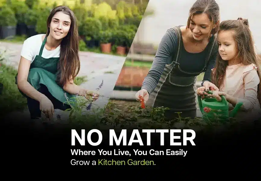 Kitchen gardening or vegetable gardening