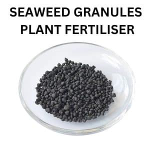 seaweed granules fertilizer