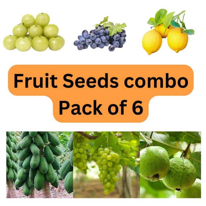 fruit seeds combo pack of 6