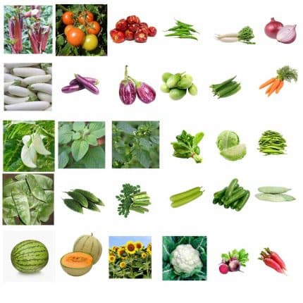 vegetable combo pack