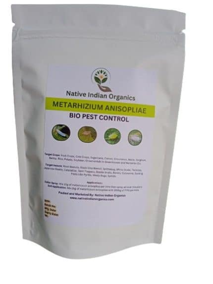 metarhizium anisopliae bio pest control