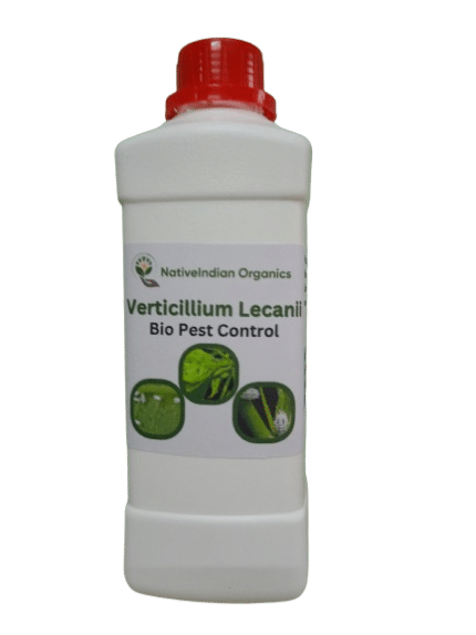 verticillium lecanii liquid bio pest control